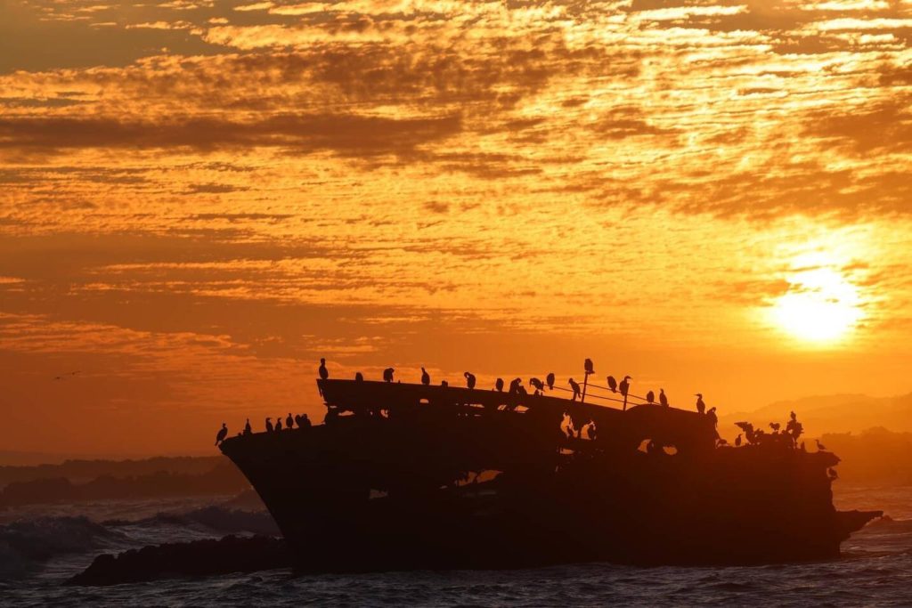 The Meisho Maru Shipwreck at Cape Agulhas, image taken by the 'Captivated Traveler'.