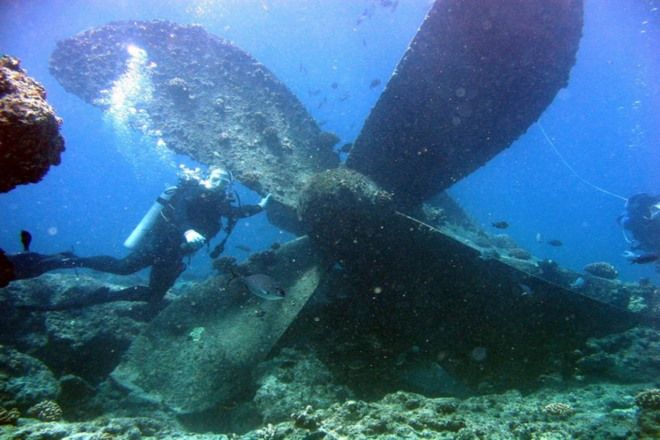 Underwater diver next to a sunken propeller and shipwrecks along South Africa's coastline