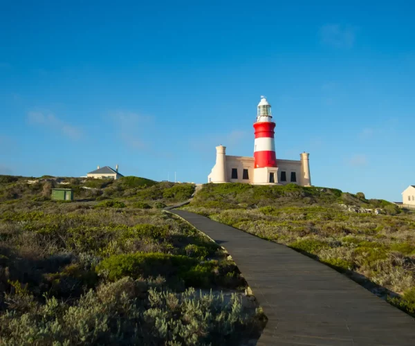 Cape Agulhas Lighthouse Catch Cook Attractions