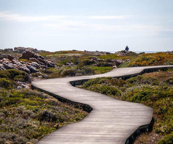 Cape Agulhas is located at the tip of Africa, where the Indian and Atlantic Ocean meet. This geographic significance makes it an awe-inspiring location for travellers seeking fishing activities, fresh seafood, sight-seeing, L'agulhas lighthouse, whale watching, and coastal nature reserves.